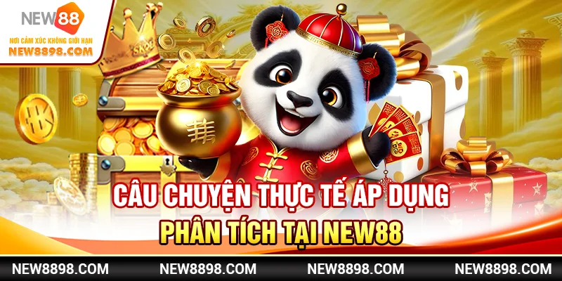 Câu chuyện thực tế áp dụng phân tích tại New88