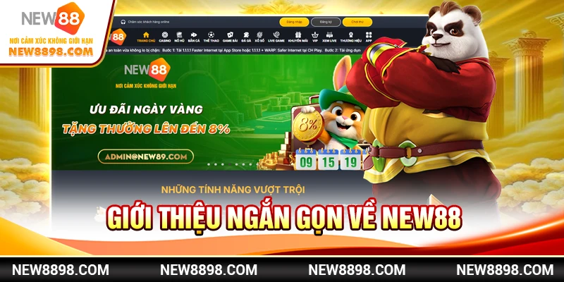 Giới thiệu ngắn gọn về New88
