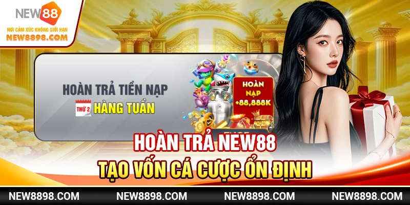 Hoàn trả New88 tạo vốn cá cược ổn định