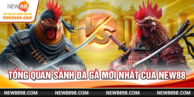 Tổng quan sảnh đá gà mới nhất của New88